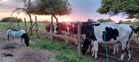 13-salle Maison à Ludwigslust-Parchim, Germany No. 219119 6