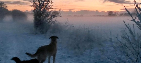 13-salle Maison à Ludwigslust-Parchim, Germany No. 219119 8