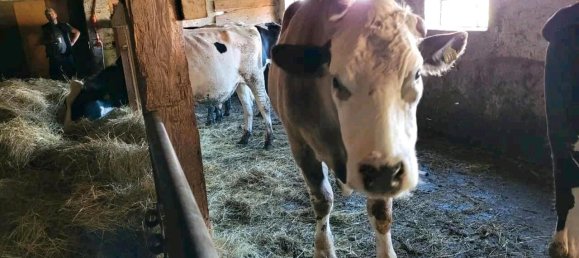 13-salle Maison à Ludwigslust-Parchim, Germany No. 219119 13