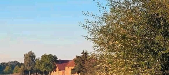 13-salle Maison à Ludwigslust-Parchim, Germany No. 219119 2