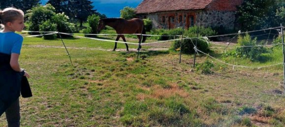 13-salle Maison à Ludwigslust-Parchim, Germany No. 219119 9