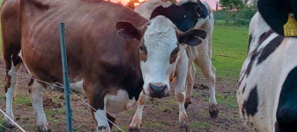 13-salle Maison à Ludwigslust-Parchim, Germany No. 219119 3