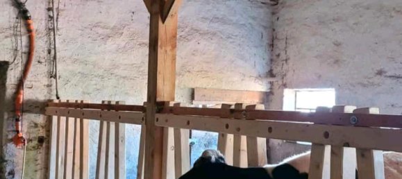 13-salle Maison à Ludwigslust-Parchim, Germany No. 219119 14