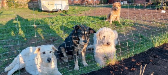 13-salle Maison à Ludwigslust-Parchim, Germany No. 219119 20