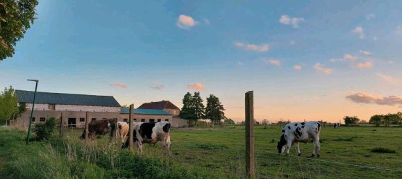 13-salle Maison à Ludwigslust-Parchim, Germany No. 219119 12