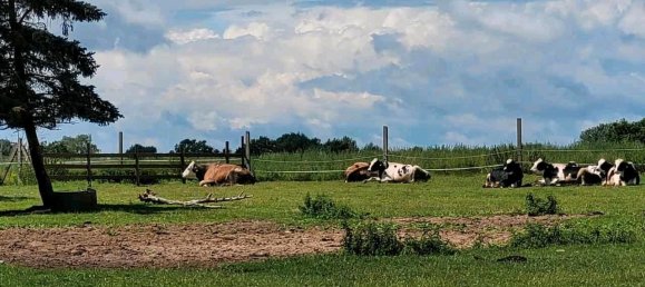 13-salle Maison à Ludwigslust-Parchim, Germany No. 219119 15