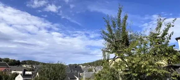 Таунхаус с 3 спальнями в Рудные Горы, Германия № 343949 5