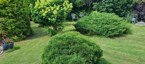 3 bedrooms House in Vorpommern-Rugen, Germany No. 186528 6