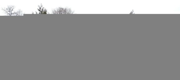 3غرفة مقهى / مطعم في Dresden, Germany رقم 87484 24