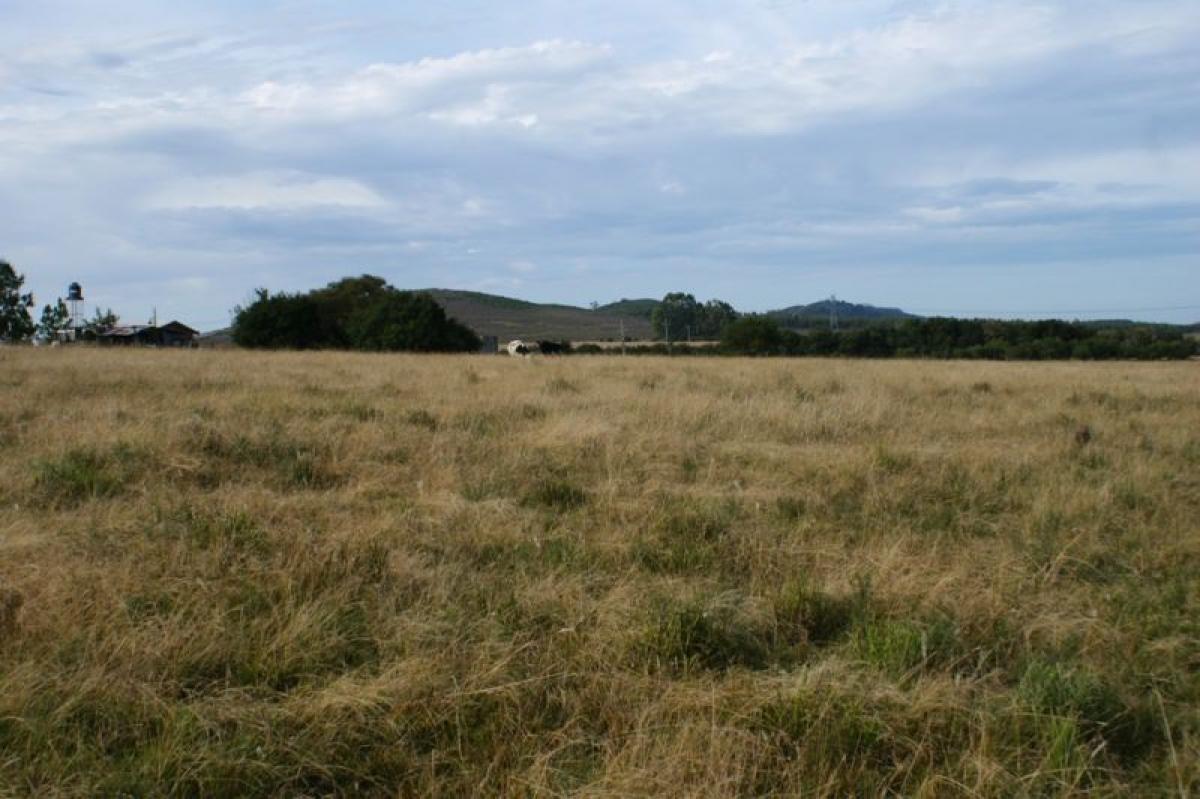  مزرعة في Maldonado, Uruguay رقم 15266