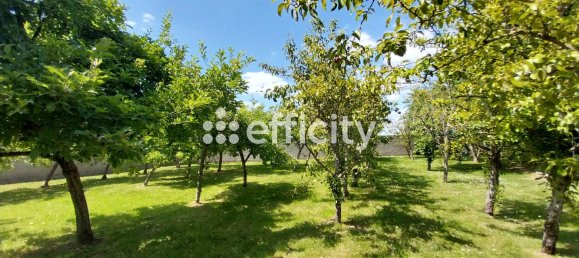 3 chambres Maison à La Bourdinière-Saint-Loup, France No. 61161 23