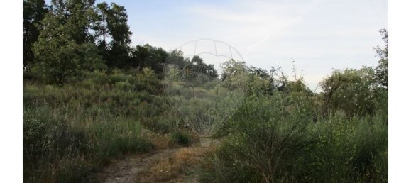 9 bedrooms House in Castelo Branco, Portugal No. 58576 37