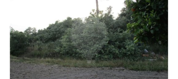 9 bedrooms House in Castelo Branco, Portugal No. 58576 22