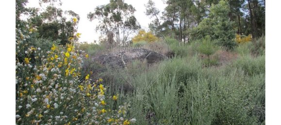 9 bedrooms House in Castelo Branco, Portugal No. 58576 43