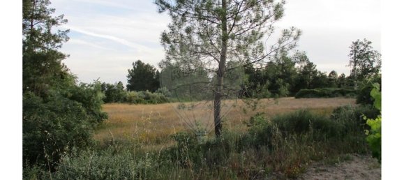 9 bedrooms House in Castelo Branco, Portugal No. 58576 35