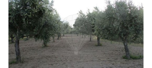 9 bedrooms House in Castelo Branco, Portugal No. 58576 21