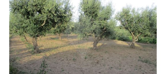 9 bedrooms House in Castelo Branco, Portugal No. 58576 17