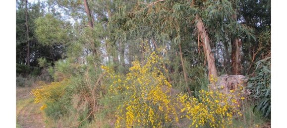 9 bedrooms House in Castelo Branco, Portugal No. 58576 48