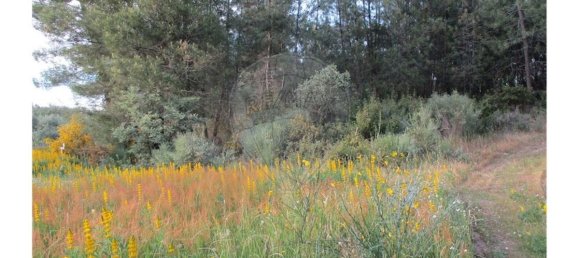 9 bedrooms House in Castelo Branco, Portugal No. 58576 47