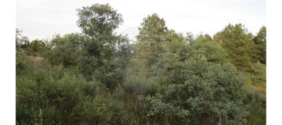 9 bedrooms House in Castelo Branco, Portugal No. 58576 42