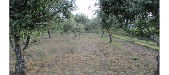 9 bedrooms House in Castelo Branco, Portugal No. 58576 13