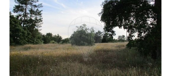 9 bedrooms House in Castelo Branco, Portugal No. 58576 27