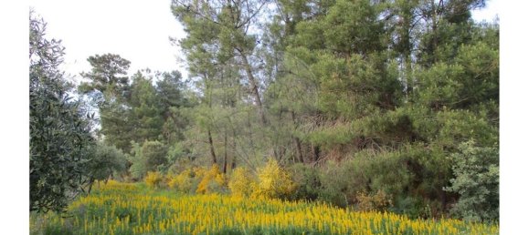 9 bedrooms House in Castelo Branco, Portugal No. 58576 49