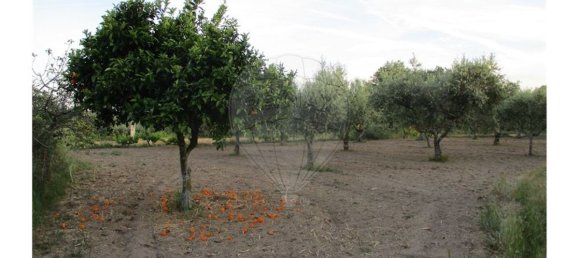 9 bedrooms House in Castelo Branco, Portugal No. 58576 23