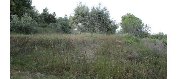 9 bedrooms House in Castelo Branco, Portugal No. 58576 24