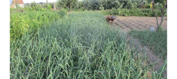 9 bedrooms House in Castelo Branco, Portugal No. 58576 10