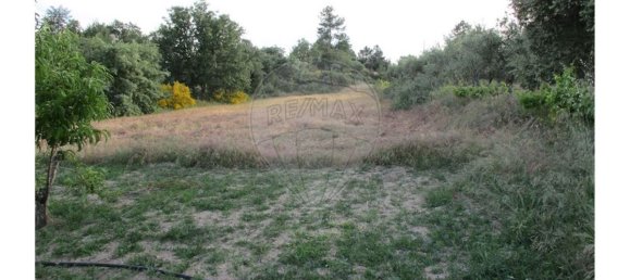 9 bedrooms House in Castelo Branco, Portugal No. 58576 12