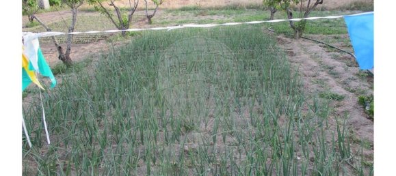 9 bedrooms House in Castelo Branco, Portugal No. 58576 11