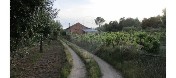 9 bedrooms House in Castelo Branco, Portugal No. 58576 4