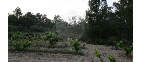 9 bedrooms House in Castelo Branco, Portugal No. 58576 34