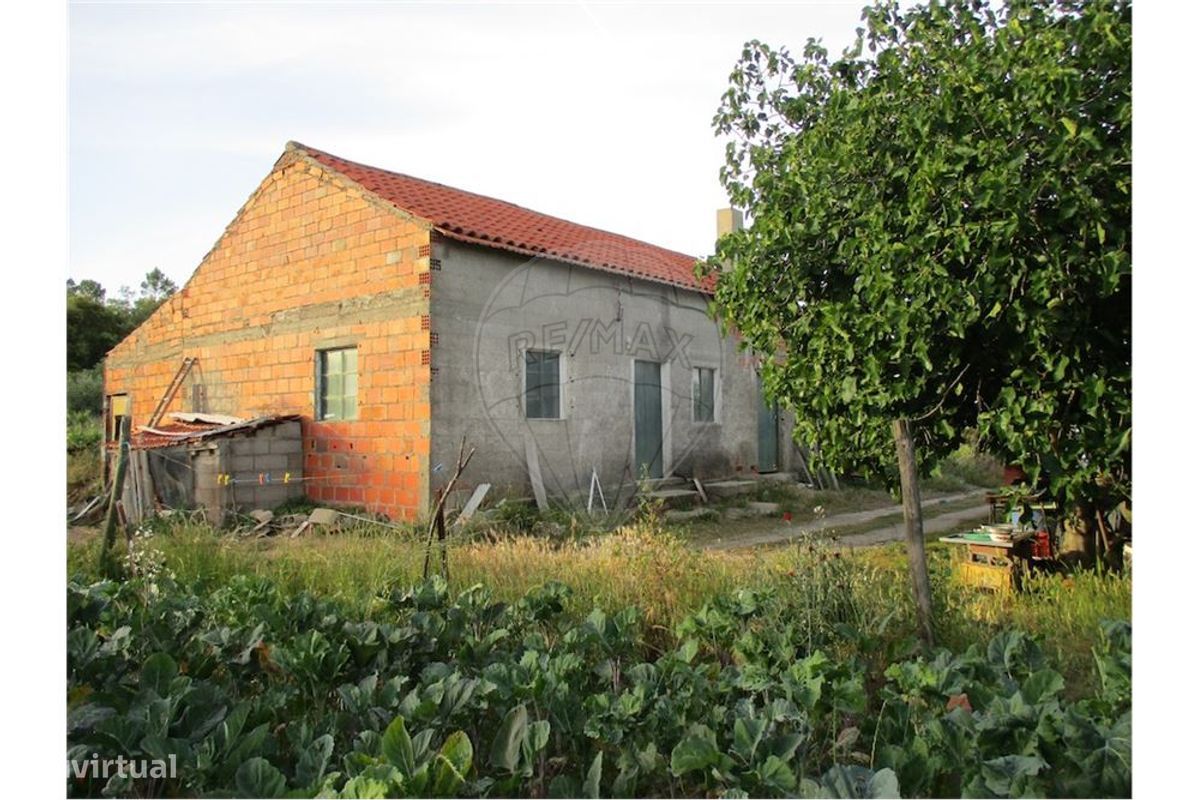 9 bedrooms House in Castelo Branco, Portugal No. 58576