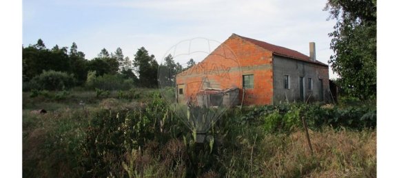 9 bedrooms House in Castelo Branco, Portugal No. 58576 5