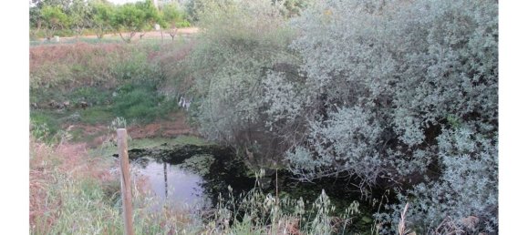 9 bedrooms House in Castelo Branco, Portugal No. 58576 7