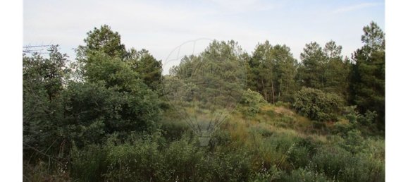 9 bedrooms House in Castelo Branco, Portugal No. 58576 41