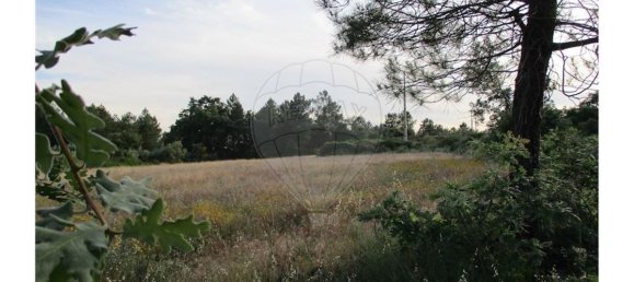 9 bedrooms House in Castelo Branco, Portugal No. 58576 36