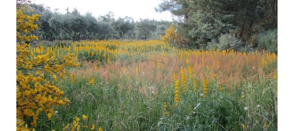 9 bedrooms House in Castelo Branco, Portugal No. 58576 46