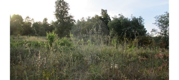 9 bedrooms House in Castelo Branco, Portugal No. 58576 15