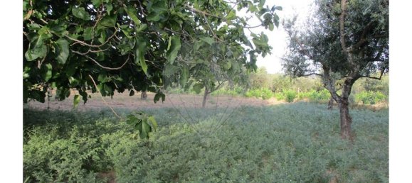 9 bedrooms House in Castelo Branco, Portugal No. 58576 19