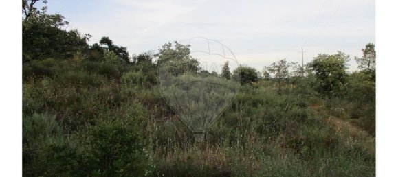 9 bedrooms House in Castelo Branco, Portugal No. 58576 45