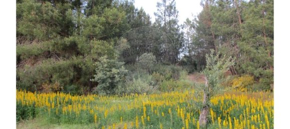 9 bedrooms House in Castelo Branco, Portugal No. 58576 50