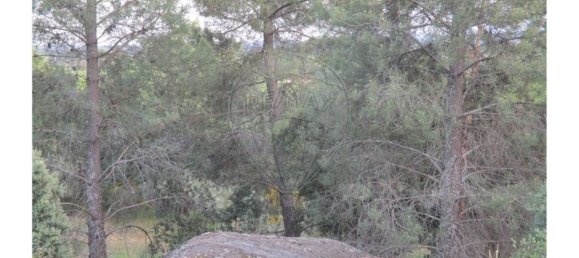 9 bedrooms House in Castelo Branco, Portugal No. 58576 38