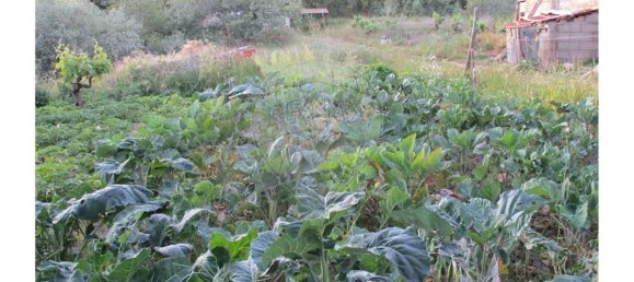 9 bedrooms House in Castelo Branco, Portugal No. 58576 9