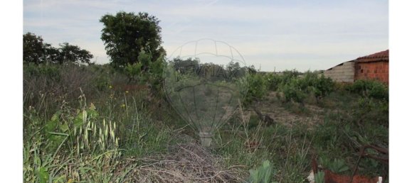 9 bedrooms House in Castelo Branco, Portugal No. 58576 6