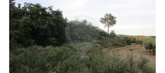 9 bedrooms House in Castelo Branco, Portugal No. 58576 30