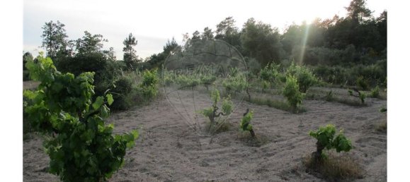 9 bedrooms House in Castelo Branco, Portugal No. 58576 33