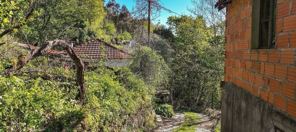 2 Schlafzimmer Haus in Terras de Bouro, Portugal, Nr. 40204 16